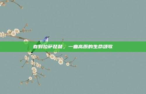 春到拉萨琵琶，一曲高原的生命颂歌