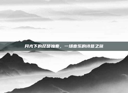 月光下的琵琶独奏，一场音乐的诗意之旅