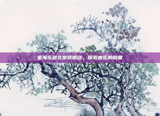 星海乐器北京旗舰店，探索音乐的殿堂
