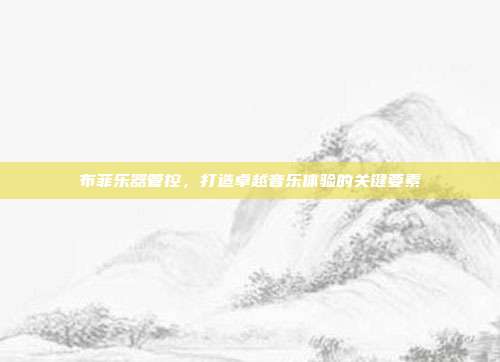 布菲乐器管控，打造卓越音乐体验的关键要素