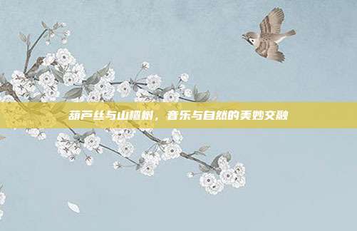 葫芦丝与山楂树，音乐与自然的美妙交融
