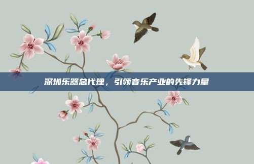 深圳乐器总代理，引领音乐产业的先锋力量