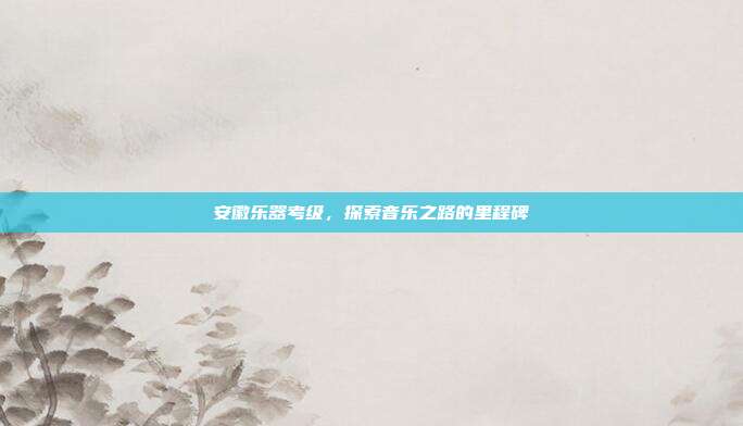 安徽乐器考级，探索音乐之路的里程碑