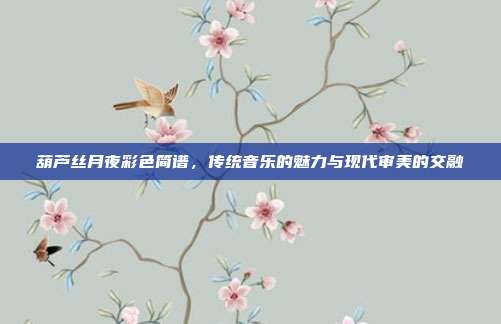 葫芦丝月夜彩色简谱，传统音乐的魅力与现代审美的交融