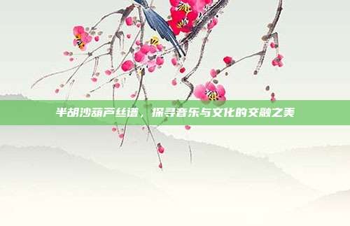 半胡沙葫芦丝谱，探寻音乐与文化的交融之美