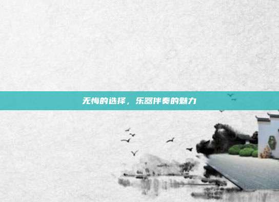 无悔的选择，乐器伴奏的魅力