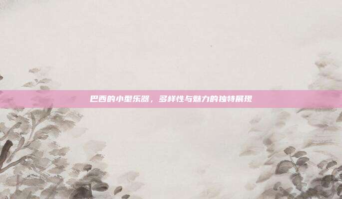 巴西的小型乐器，多样性与魅力的独特展现