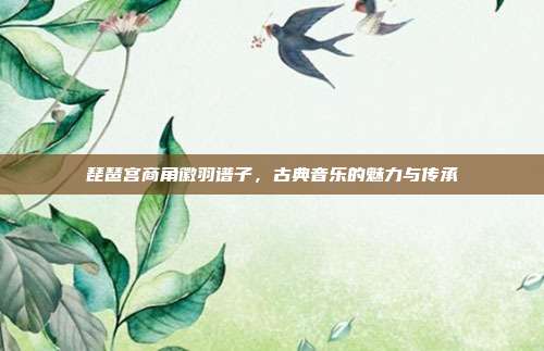 琵琶宫商角徽羽谱子，古典音乐的魅力与传承