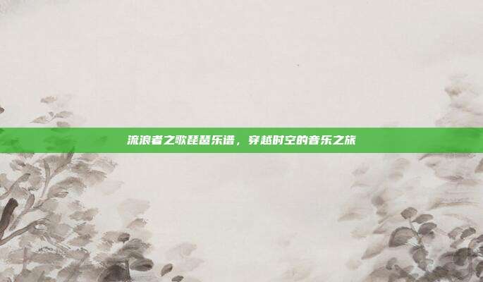 流浪者之歌琵琶乐谱，穿越时空的音乐之旅