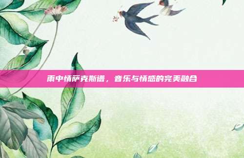雨中情萨克斯谱，音乐与情感的完美融合