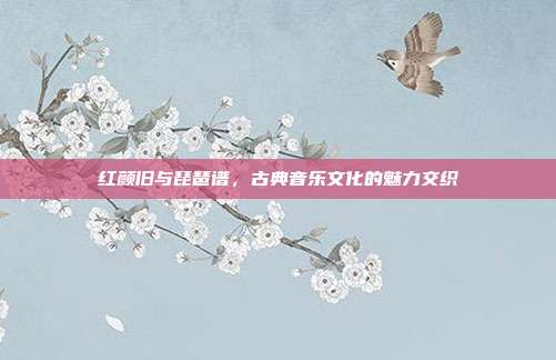 红颜旧与琵琶谱，古典音乐文化的魅力交织