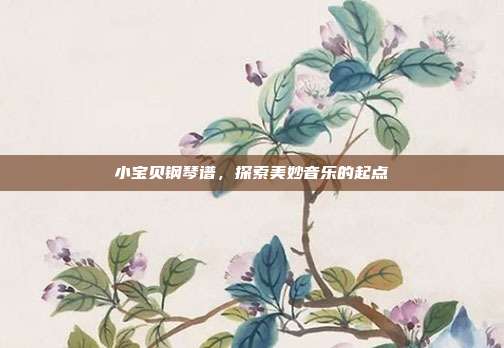 小宝贝钢琴谱，探索美妙音乐的起点