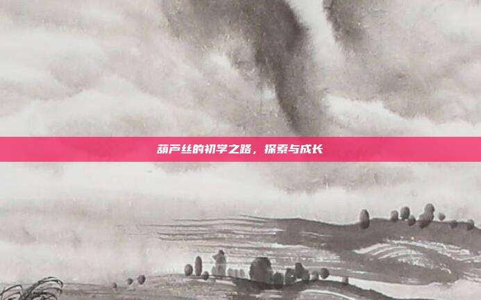 葫芦丝的初学之路，探索与成长