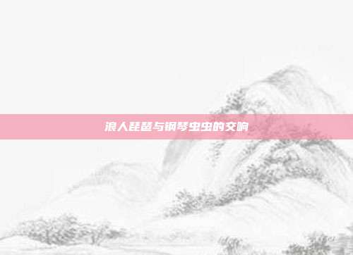 浪人琵琶与钢琴虫虫的交响