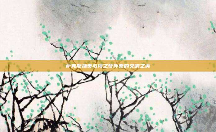 萨克斯独奏与海之梦伴奏的交响之美