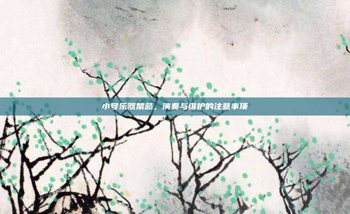 小号乐器禁忌，演奏与维护的注意事项