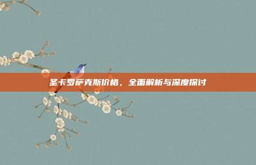 圣卡罗萨克斯价格，全面解析与深度探讨