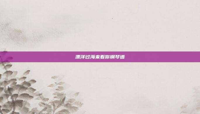 漂洋过海来看你钢琴谱