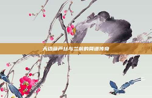 天边葫芦丝与兰前的简谱传奇