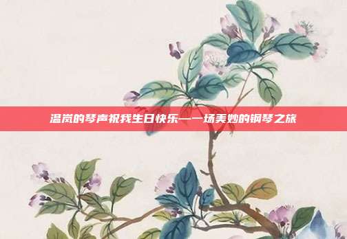 温岚的琴声祝我生日快乐—一场美妙的钢琴之旅