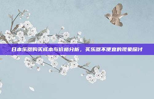 日本乐器购买成本与价格分析，买乐器不便宜的现象探讨