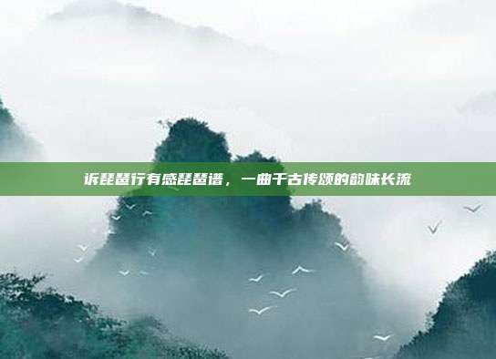 诉琵琶行有感琵琶谱，一曲千古传颂的韵味长流