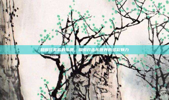 和钢鼓类似的乐器，探索打击乐世界的多彩魅力