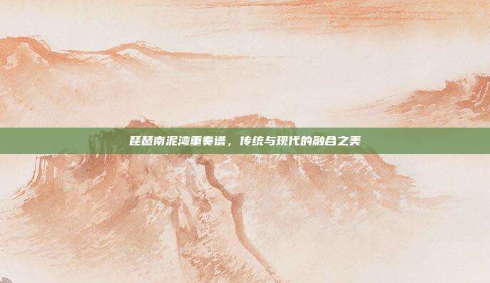 琵琶南泥湾重奏谱,传统与现代的融合之美