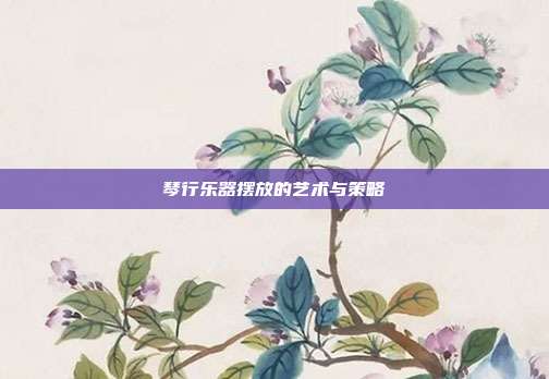 琴行乐器摆放的艺术与策略