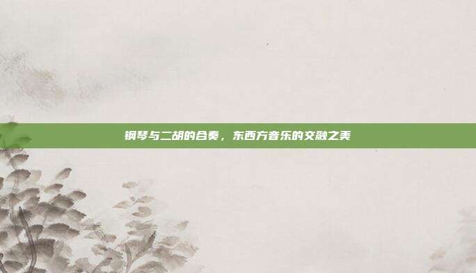 钢琴与二胡的合奏，东西方音乐的交融之美