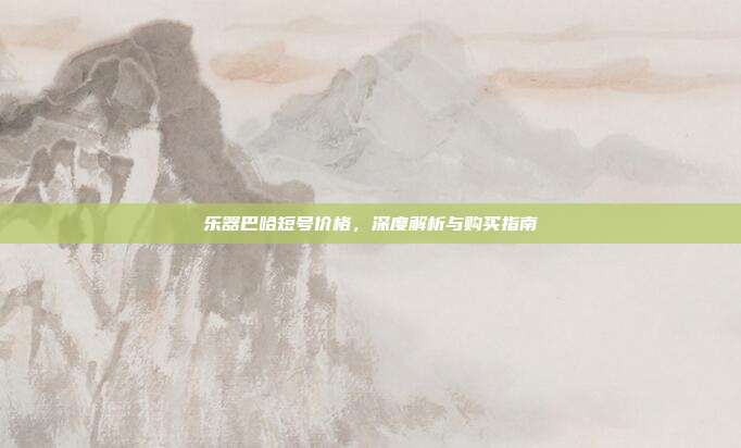乐器巴哈短号价格，深度解析与购买指南
