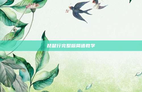 琵琶行完整版简谱教学