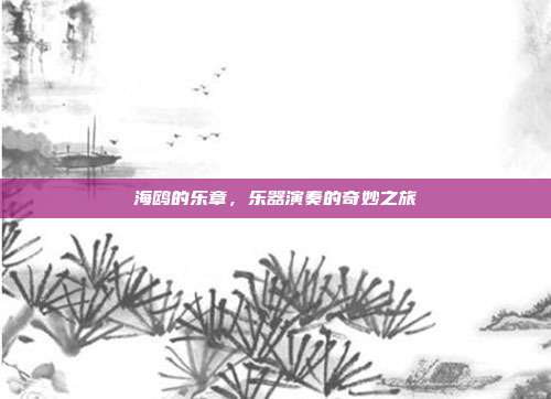 海鸥的乐章，乐器演奏的奇妙之旅