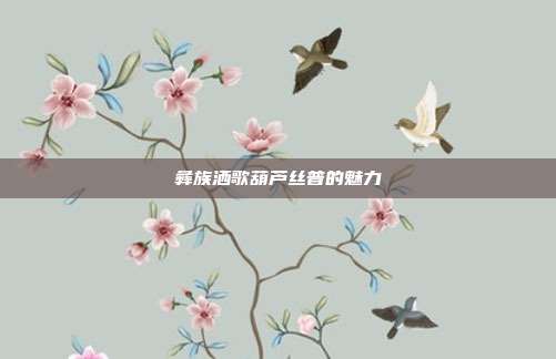 彝族洒歌葫芦丝普的魅力