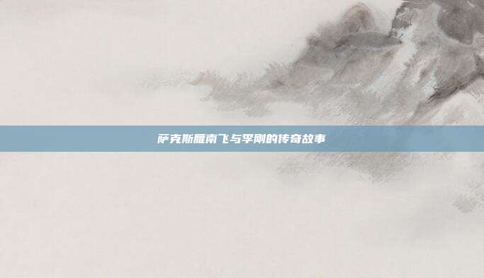 萨克斯雁南飞与李刚的传奇故事