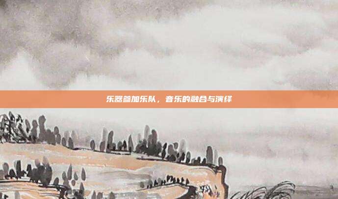 乐器参加乐队，音乐的融合与演绎