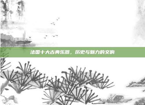 法国十大古典乐器，历史与魅力的交响
