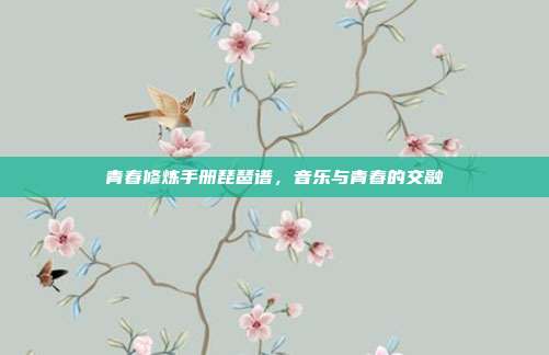 青春修炼手册琵琶谱,音乐与青春的交融