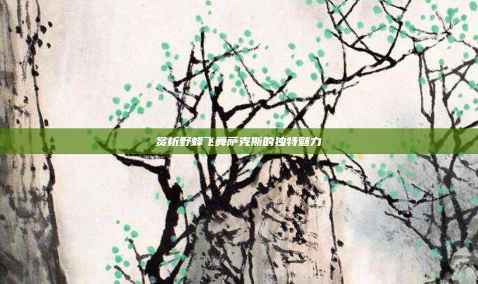 赏析野蜂飞舞萨克斯的独特魅力