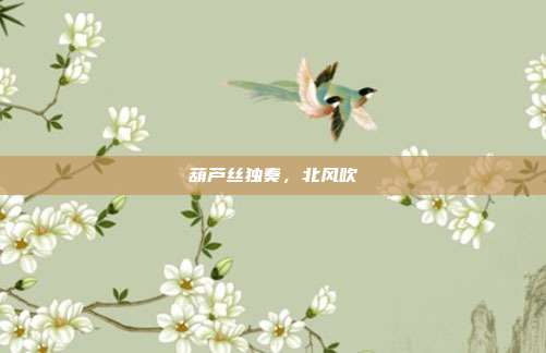 葫芦丝独奏，北风吹