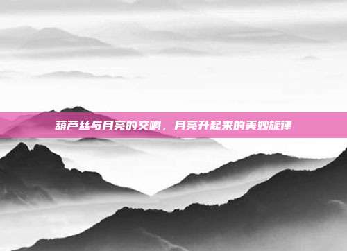 葫芦丝与月亮的交响，月亮升起来的美妙旋律