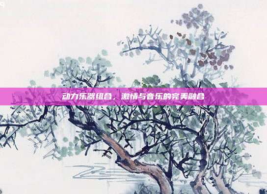 动力乐器组合,激情与音乐的完美融合