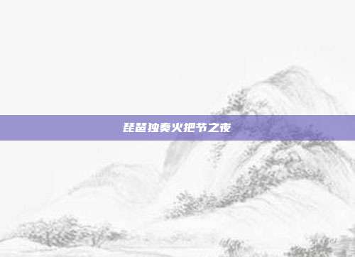琵琶独奏火把节之夜