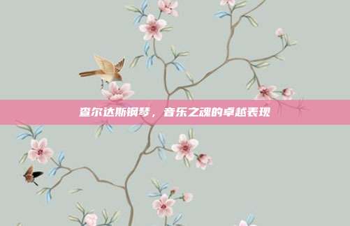 查尔达斯钢琴，音乐之魂的卓越表现