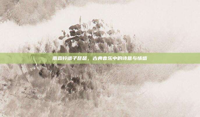 雨霖铃谱子琵琶，古典音乐中的诗意与情感