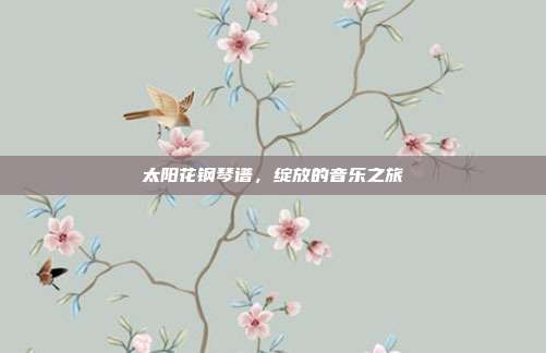 太阳花钢琴谱，绽放的音乐之旅