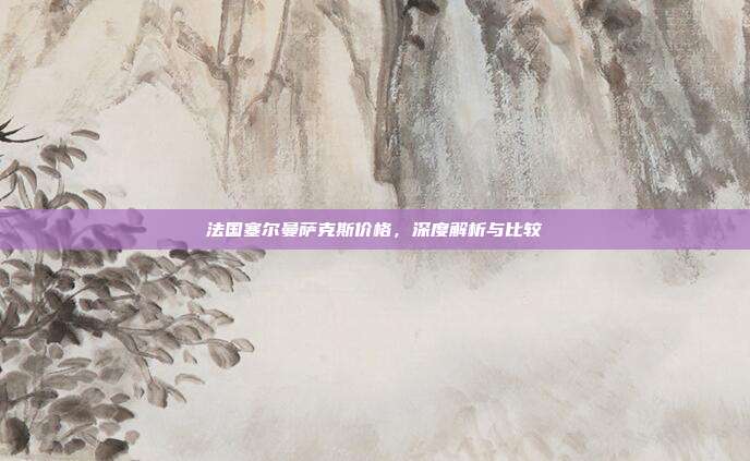 法国塞尔曼萨克斯价格，深度解析与比较