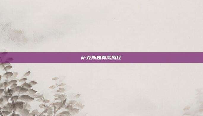萨克斯独奏高原红