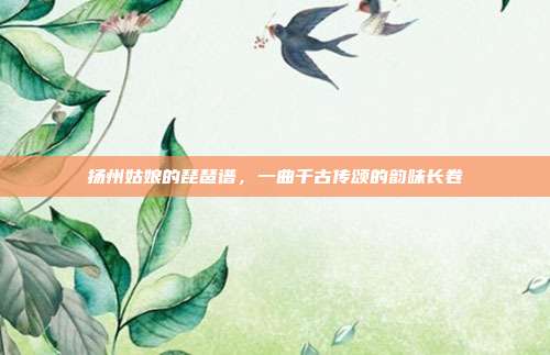 扬州姑娘的琵琶谱，一曲千古传颂的韵味长卷
