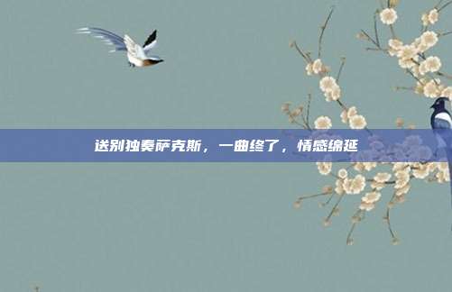 送别独奏萨克斯，一曲终了，情感绵延